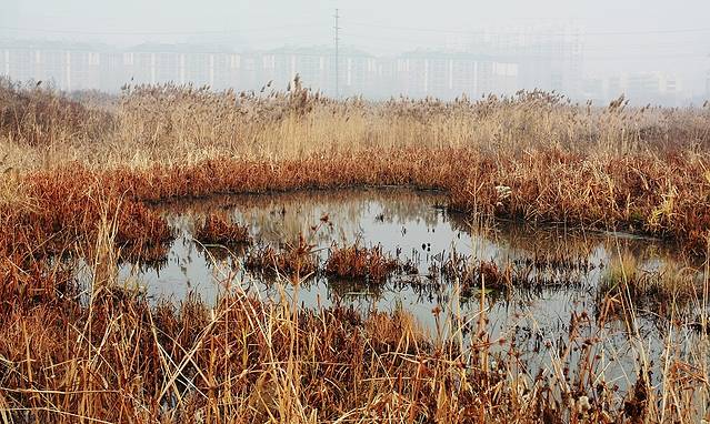 群力国家城市湿地公园