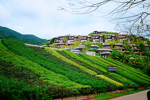 呀诺达雨林文化旅游区旅游景点攻略图