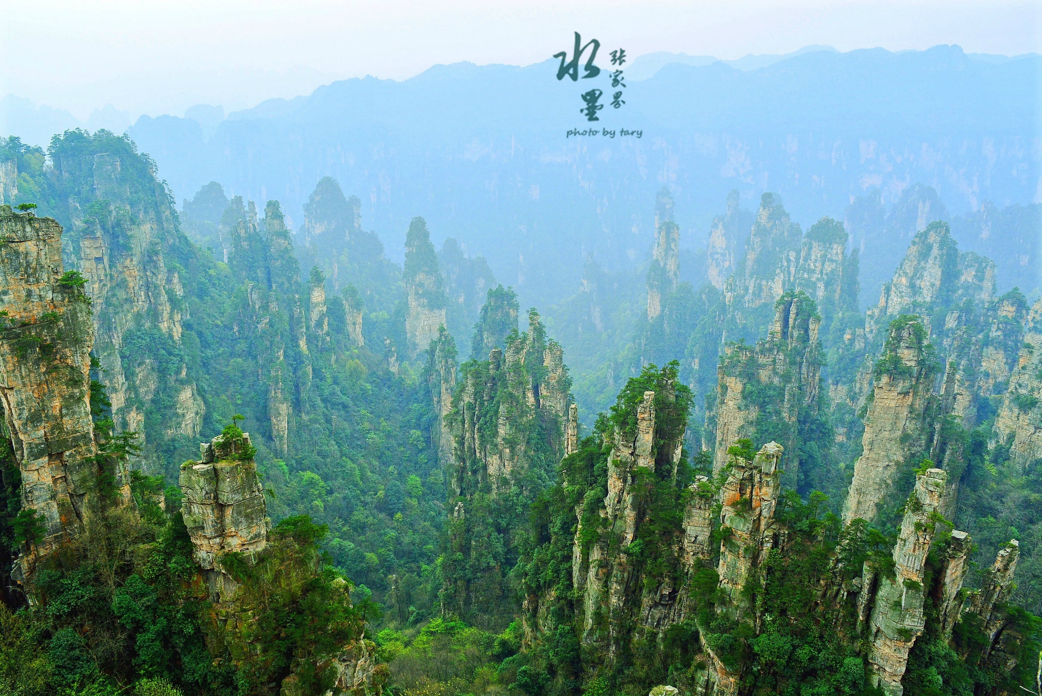 最热门的云青岩观景台是观赏西海峰林的最佳位置上千座山峰风起云涌般