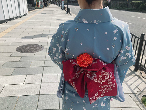 京都樱花和服店旅游景点图片