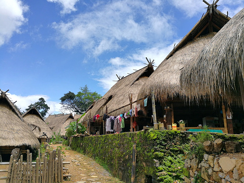 翁丁佤族原始群居村落旅游景点图片