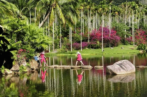 呀诺达雨林文化旅游区旅游景点攻略图