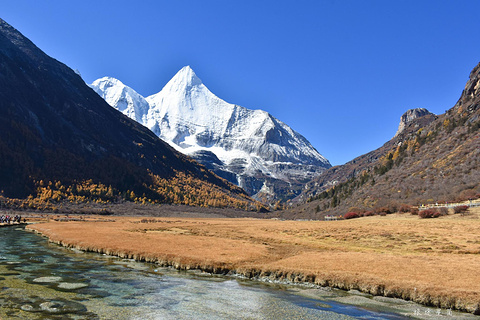 洛绒牛场旅游景点攻略图