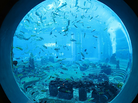 三亚亚特兰蒂斯失落的空间水族馆