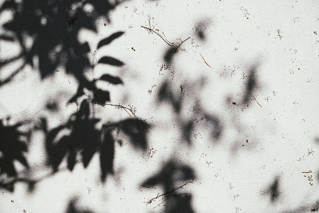 南京大学鼓楼校区