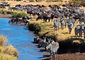 肯尼亚山国家公园旅游景点攻略图片