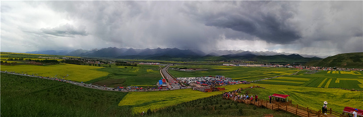 "门源万亩油菜花海是最早最出名的，关键在于身后的雪山，彼此相衬，美不胜收_门源百里油菜花海"的评论图片