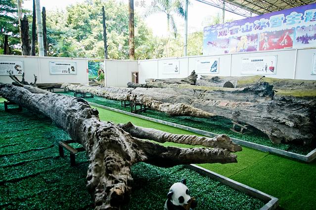 观音山古树博物馆