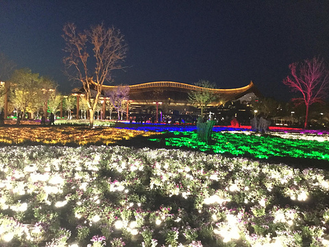 植物馆（北京世界园艺博览会）旅游景点图片