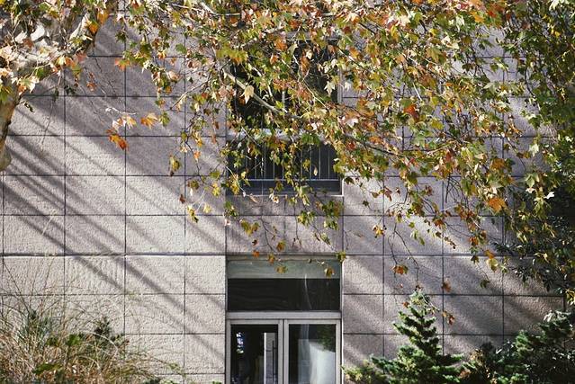 南京大学鼓楼校区