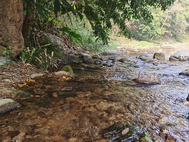 皂幕山旅游风景区
