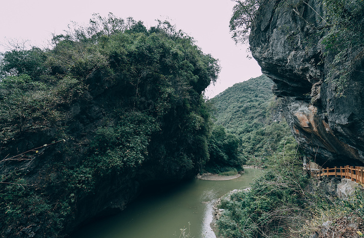 不禁想起苏轼那句惟江上之清风与山间之明月耳得之而为声目遇之而成色
