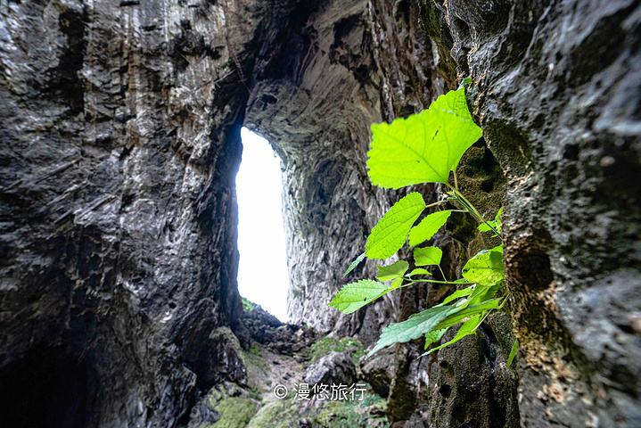 "这个洞口恰似一道天门，无论哪个角度看，满眼都是震撼。在层层绿叶映衬下，古老的岩壁透出些许诗意_燕子岩"的评论图片