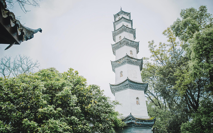 说说这次旅行图片