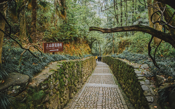 说说这次旅行图片