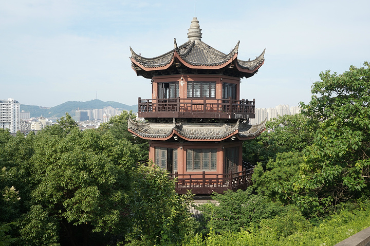 "推荐我早上去那里登个山，呼吸下新鲜空气，的确还挺棒的，在山上还有一个城墙，朋友说以前是用来打仗..._教场山公园"的评论图片