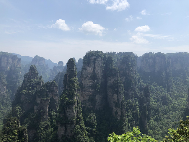 "这是整个景区的精华，有很多密集的景点，人也是最多的。一个母亲带着孩子爬上悬崖来找吃的。阿凡达的拍摄地_袁家界景区"的评论图片