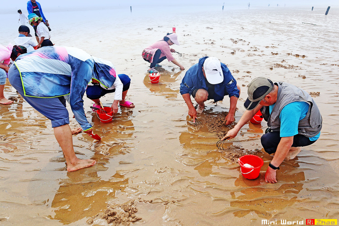 海龟在攀牙海滩产下 118 个蛋 - The Phuket Express