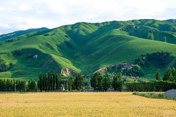 那拉提小镇位于新疆伊犁哈萨克自治州直属新源县的伊犁河谷东端,这里