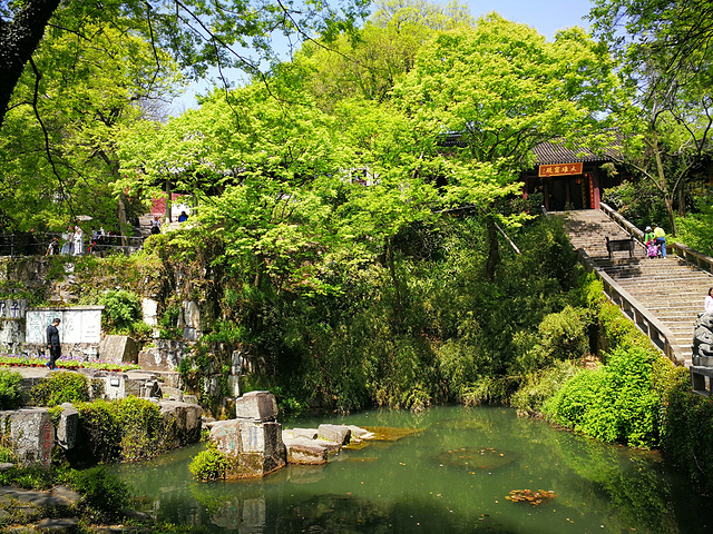 山高约36米,古树参天,山小景多,千年虎丘塔矗立山巅_虎丘山风景名胜区