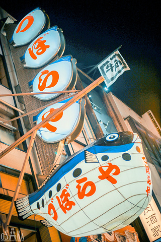 "最著名的是大阪王将和蟹道乐，这两家日本全国知名的正宗日料，一定要去打卡哦_道顿堀"的评论图片