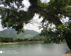 自驾游游记——霞山古村与金溪桃韵