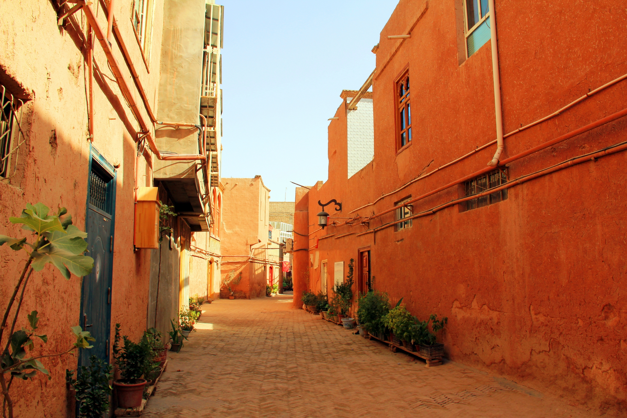 老城之内有许多维族的小孩子他们都很热情地欢迎外来