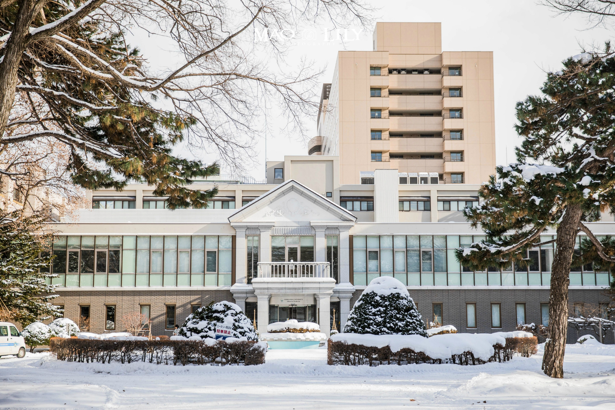 北海道大学图书馆图片