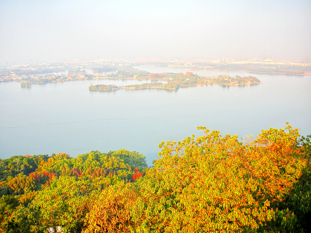 "打卡东湖风景区_东湖"的评论图片
