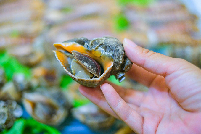 2、兴顺海鲜饭店：海鲜大咖宴图片