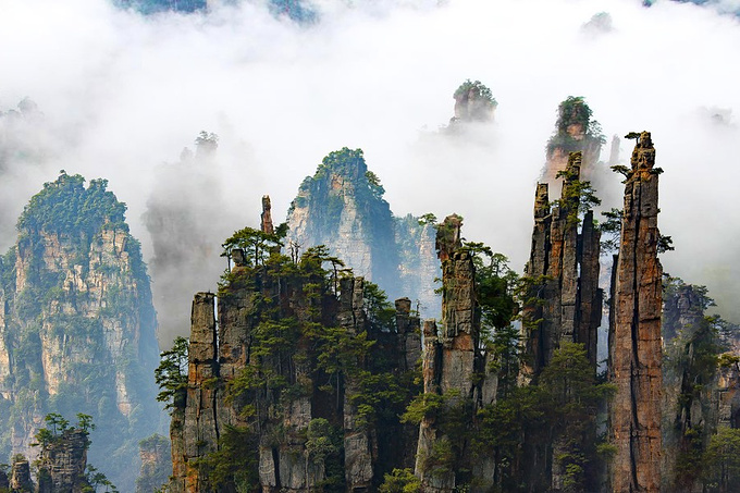 天子山 袁家界 杨家界图片