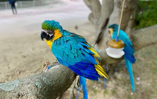 海之中道海滨公园