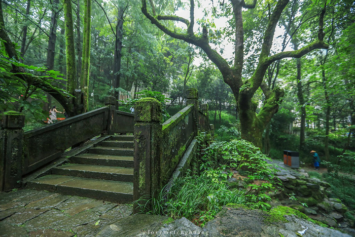 "烟雨朦胧下的双瑶池，仿佛仙境一般。中国溶洞之最的冰壶之瀑？如何躺着进洞_双龙风景旅游区"的评论图片