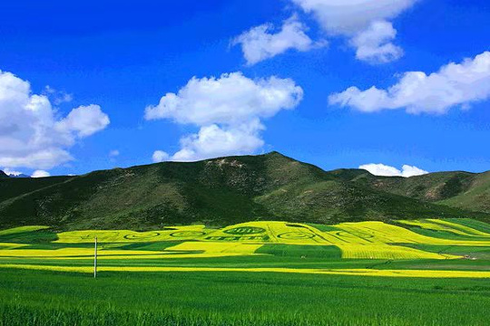 祁连大草原旅游景点图片