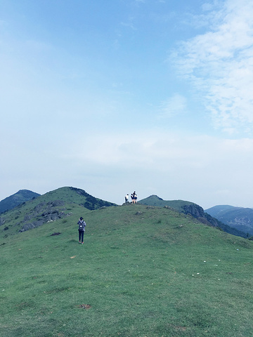 "_大姆山草场"的评论图片