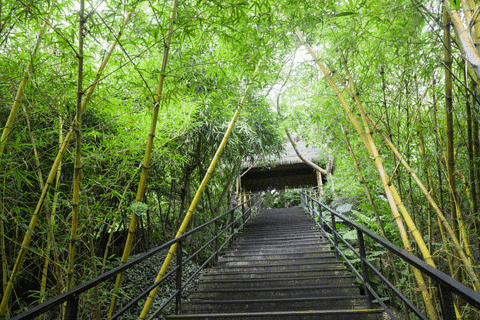 呀诺达雨林文化旅游区旅游景点攻略图