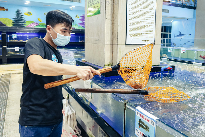 "另外我们还点了店里的特色菜，豆腐煲，吃起来口滑嫩入味~每一只都好吃到让人沉醉！也很适合拍照哦_海鲜市场"的评论图片