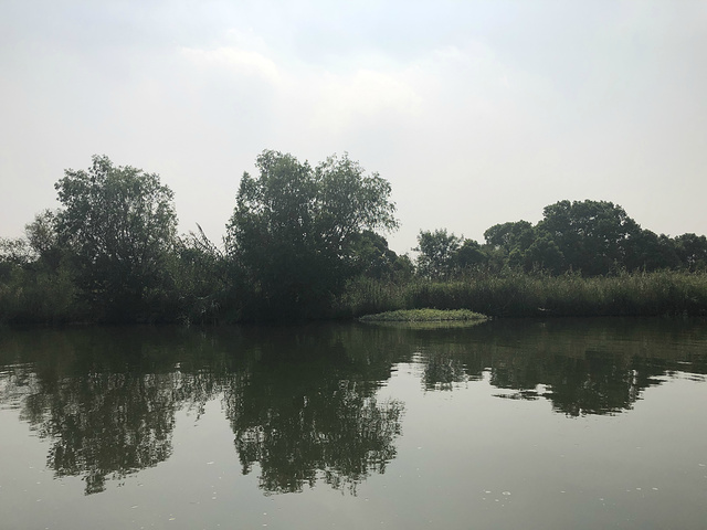 "西溪湿地的生态环境很好，最大的景区是周家村，这个景区大部分是河流，电影非诚勿扰也在这里拍摄过，..._周家村"的评论图片
