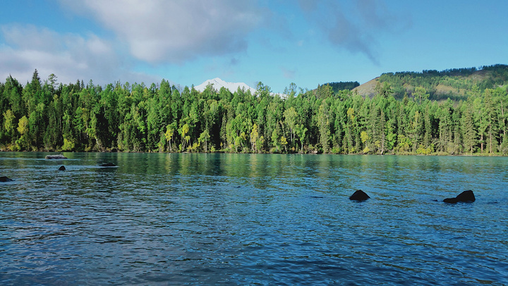 "喀纳斯湖著名的传说就是“湖怪”了。是巨大的哲罗鲑（一种鱼的名称），也有人认为是史前生物_喀纳斯湖风景区"的评论图片