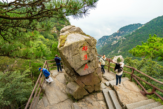 庐山国家级旅游风景名胜区-险峰图片