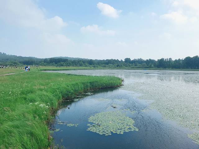 国营御道口牧场