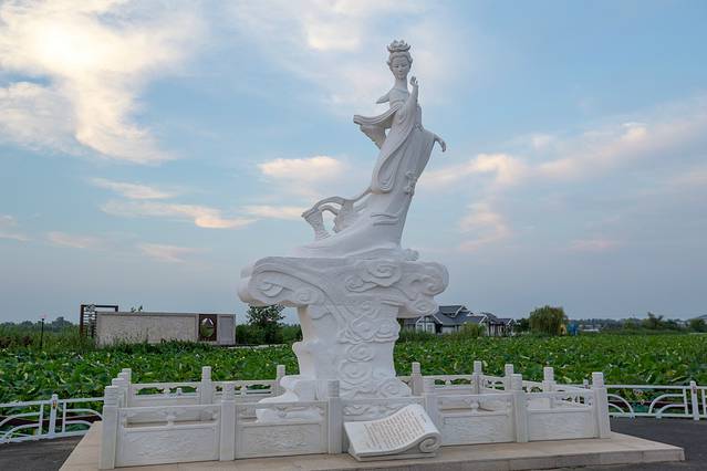 金湖荷花荡景区