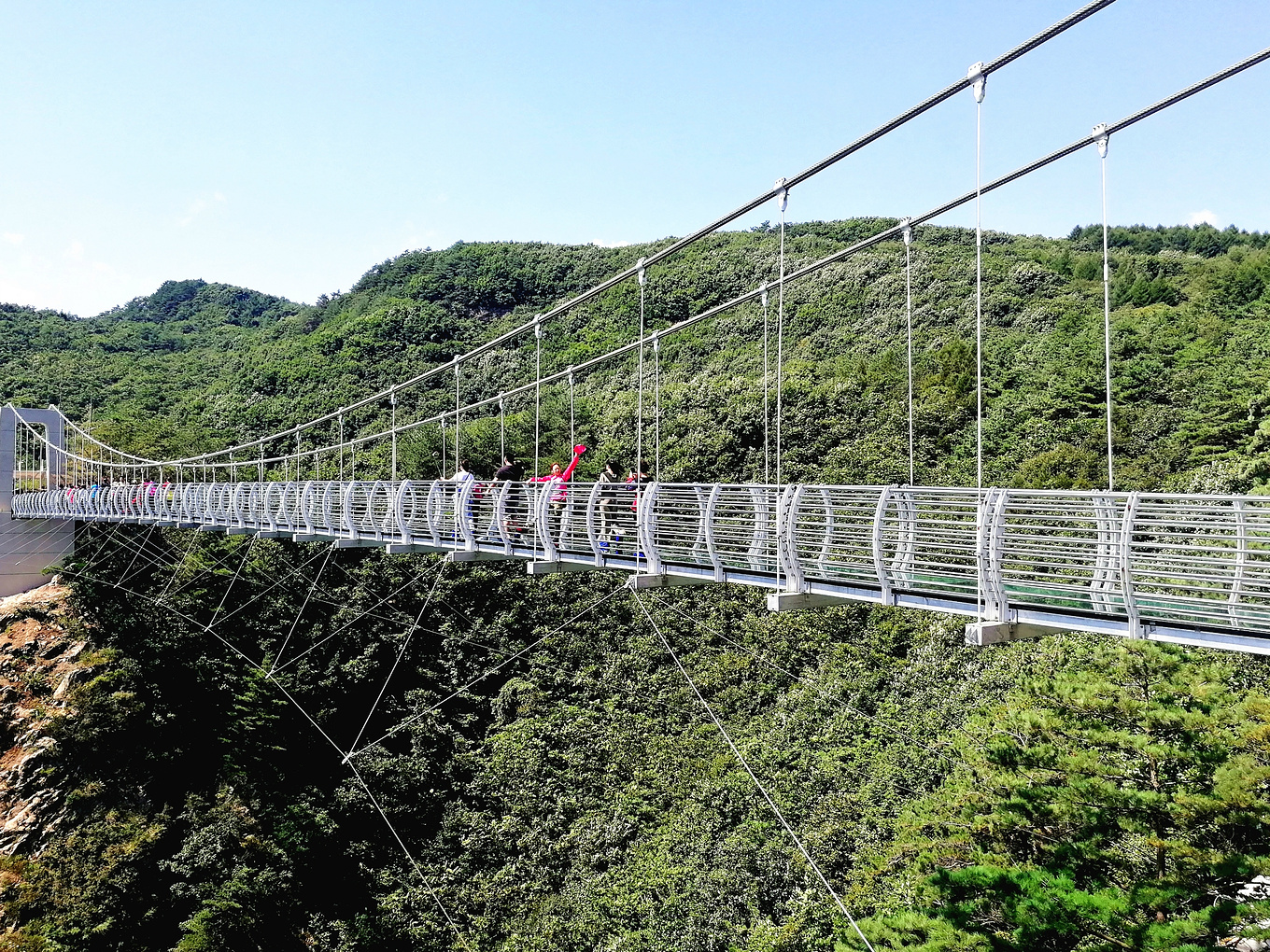 世界最大跨度单塔单跨钢箱梁悬索桥正式通车！