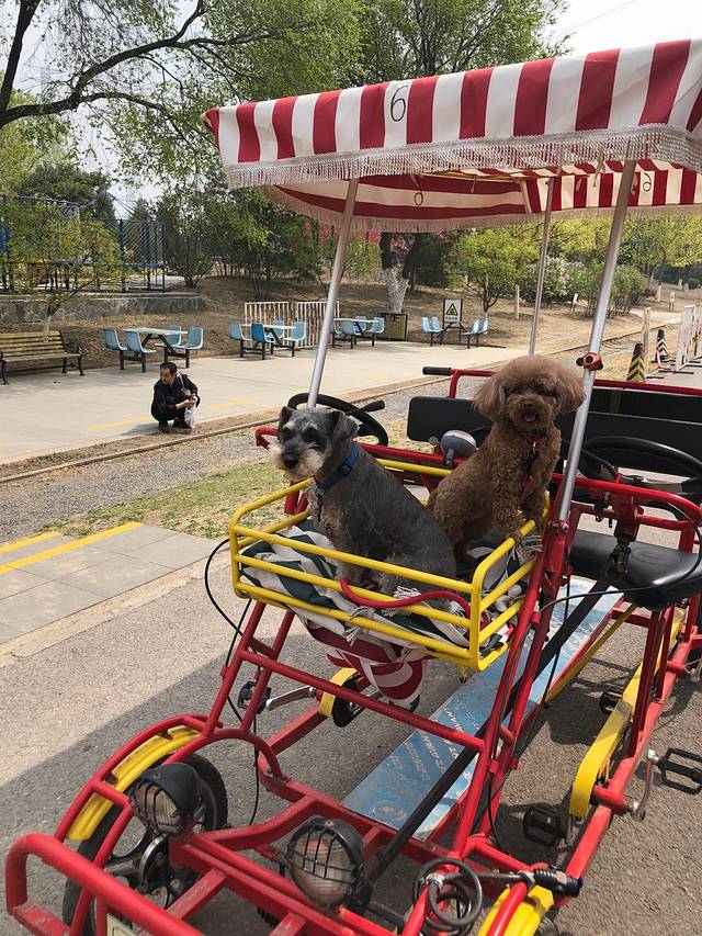 永定河休闲森林公园