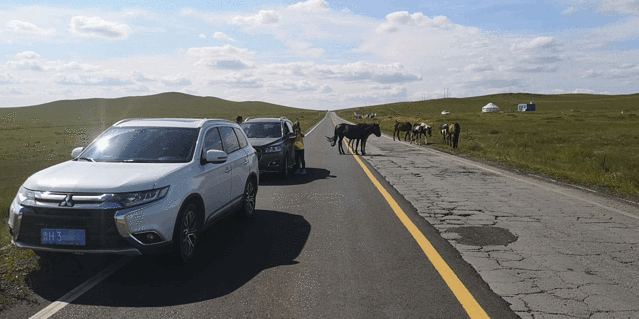 西乌珠穆沁大草原