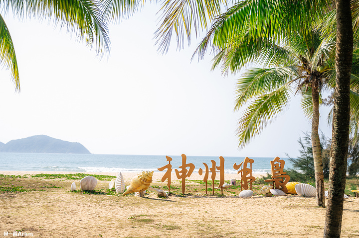 舒适的气候给了这片地带无限旖旎风景_神州半岛"的评论图片