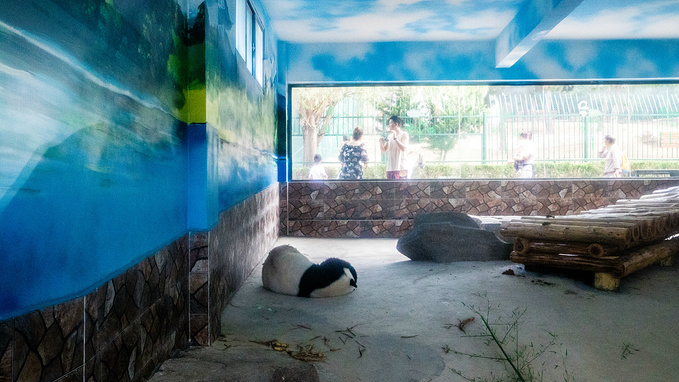 刘公岛珍稀动物园图片