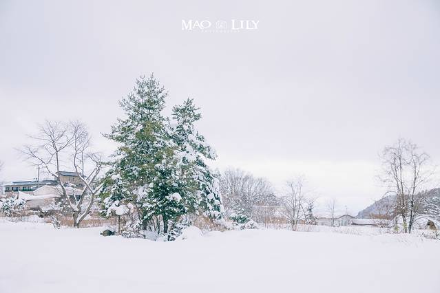 藏王温泉滑雪场