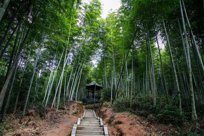 说说这次旅行图片