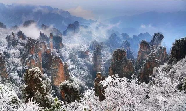 天门山国家森林公园图片